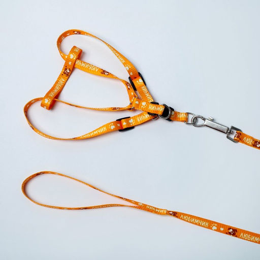 Комплект Любимчик, шлейка 24-34 см, поводок 120х1 см - Пушистое счастье фото 3