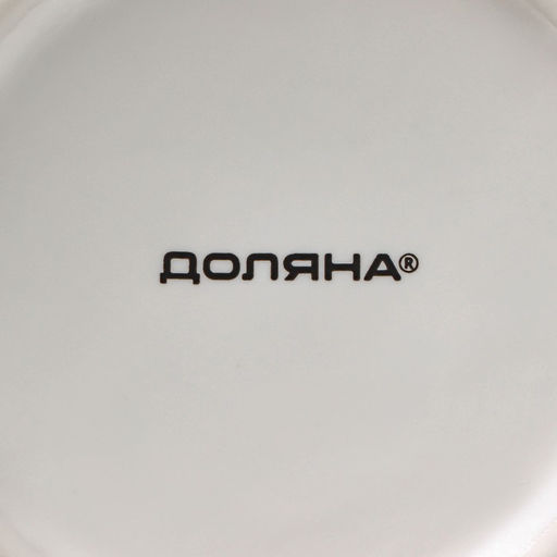 Кружка Доляна «День кота», 380 мл, фарфор, белая