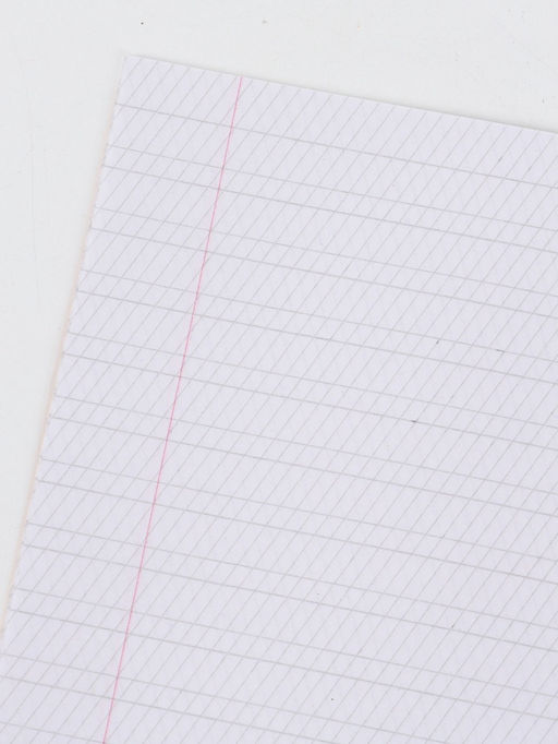 Цена за 20 шт. Тетрадь А5, 12 листов в косую линейку "Зверята" микс