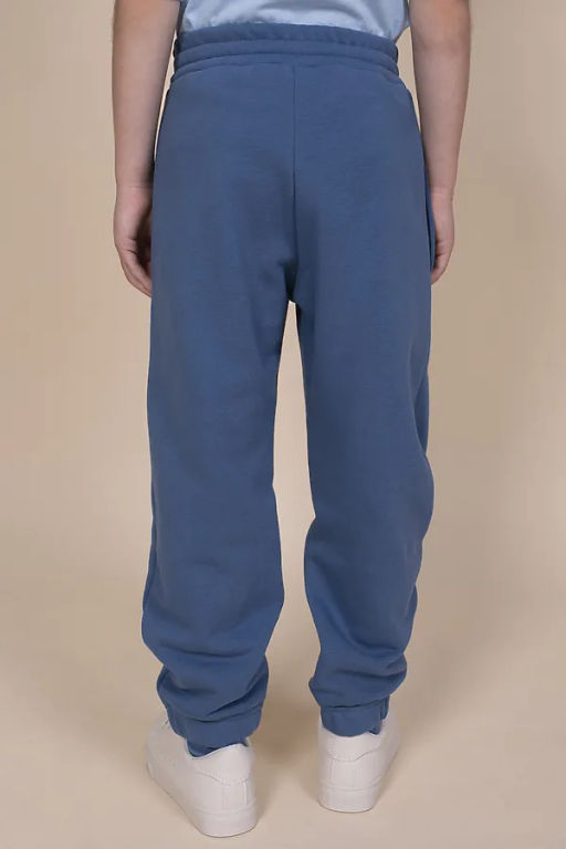 Pelican BFPQ3352 Брюки для мальчиков  фото 2