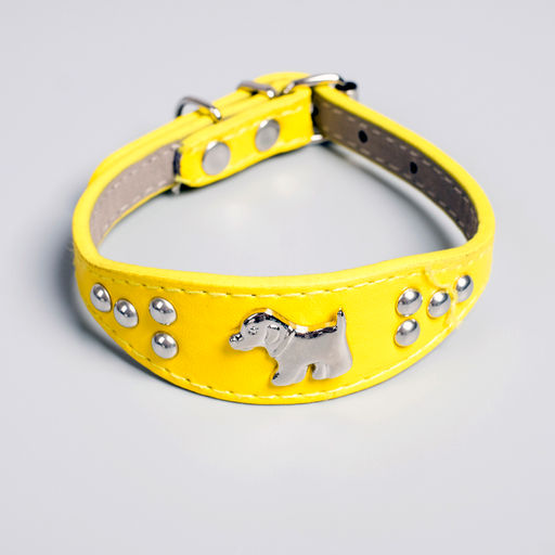 Ошейник-селедка со щенком, 29-32 х 2,5 см, искусственная кожа, желтый - Пижон фото 5