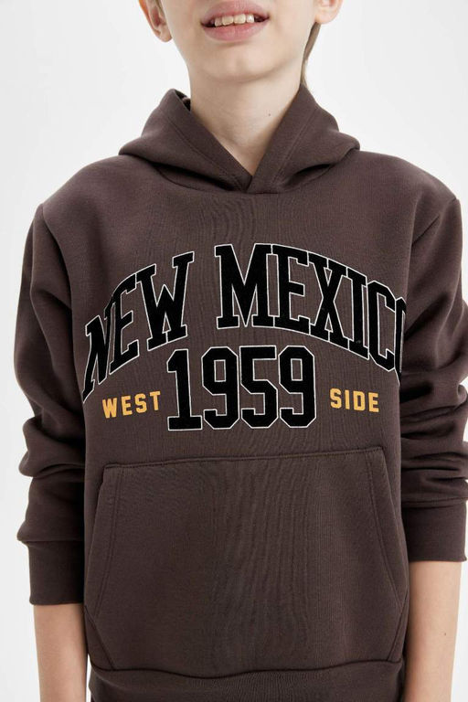 Коричневый толстый свитшот обычного кроя с капюшоном и принтом слоганов для мальчиков - Defacto фото 5