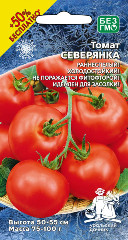 Томат СЕВЕРЯНКА Раннеспелый! Холодостойкий! Не болеет фитофторой! Идеален для засолки!