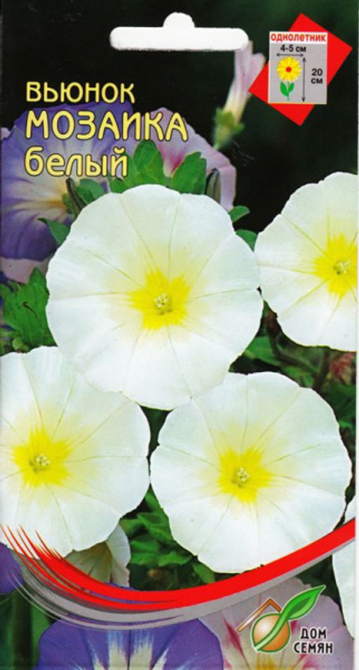 Вьюнок Мозаика белый