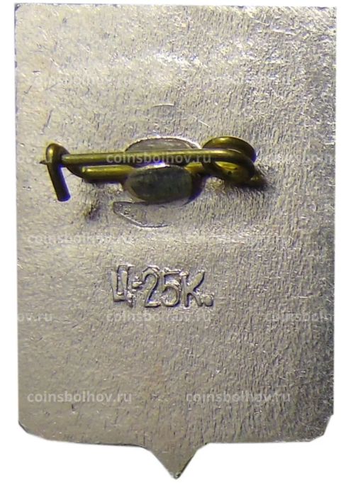 Значок Старая Руса