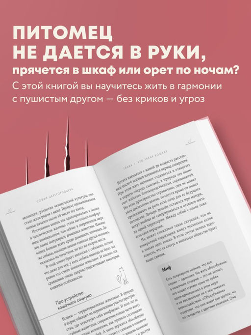 Кошачий закон и порядок. Как найти общий язык с кошкой и не стать жертвой ее капризов