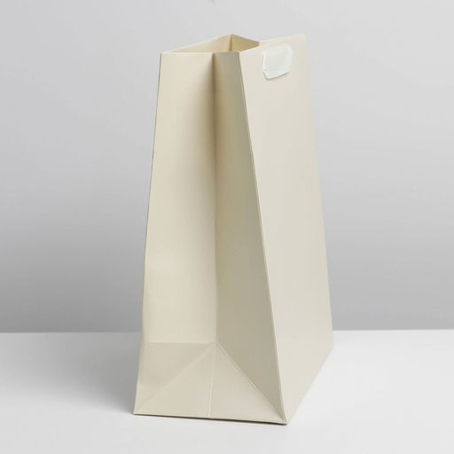 Цена за 2 шт. Пакет подарочный ламинированный, упаковка, Молочный, ML 23 х 27 х 11.5 см - UPAK LAND фото 2