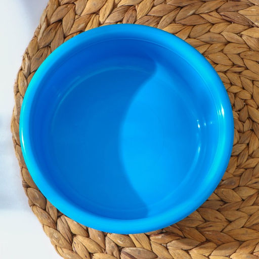 Миска, 0,8 л, цвет МИКС - Simaland фото 2