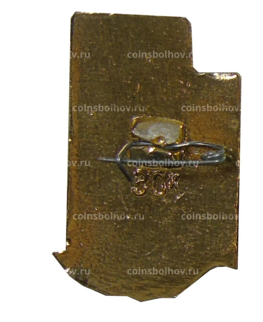 Значок Гур-Эмир