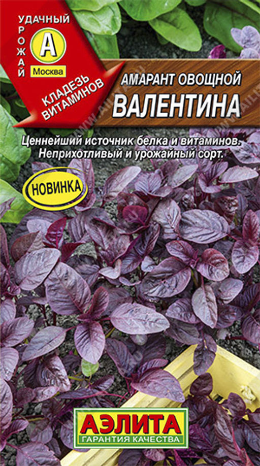 Амарант овощной Валентина 0,3г (Аэлита)