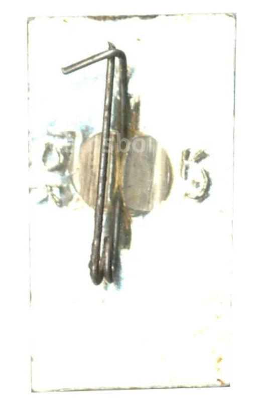 Значок Горький