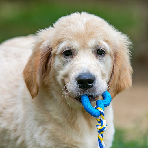 Игрушка Сердечко с канатом, 7 см, голубое - Пижон фото 7