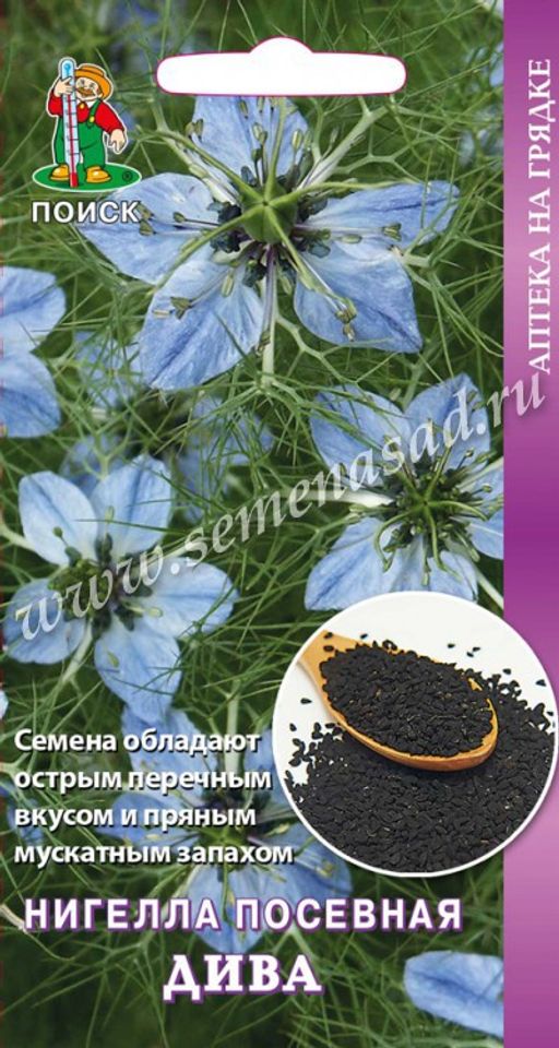 Нигелла Посевная Дива (ЦВ) 25 шт