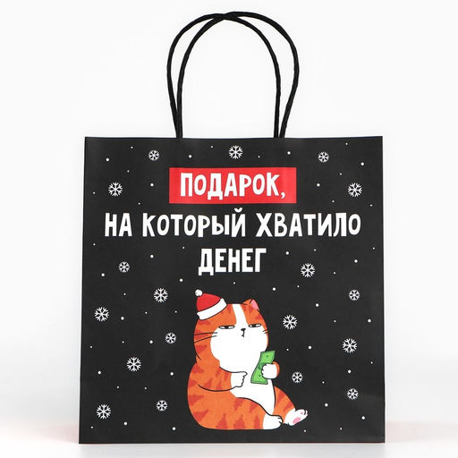 Цена за 2 шт. Пакет подарочный новогодний «Подарок», 22×22×11 см