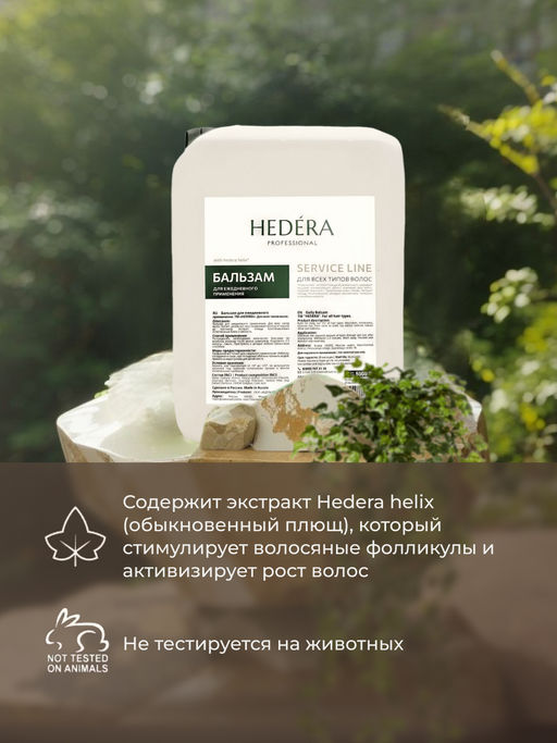 Hedera Professional Бальзам для ежедневного применения для всех типов волос / Service Line, 5000 мл