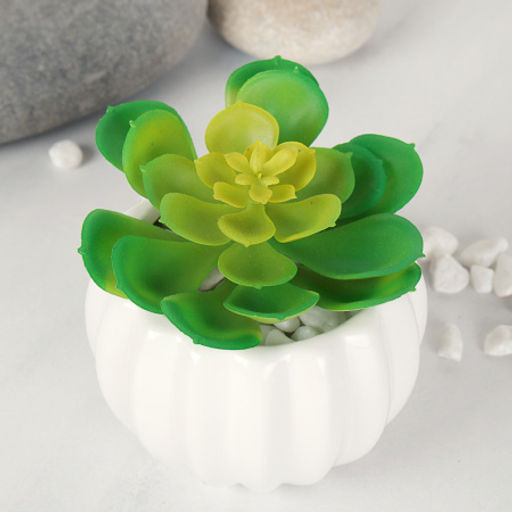 Суккулент искусственный 10х8 см / GN150 /уп 100/ - Галеонтрейд фото 3