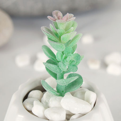 Суккулент искусственный 2,5х9 см / GN113 /уп 100/ - Галеонтрейд фото 4