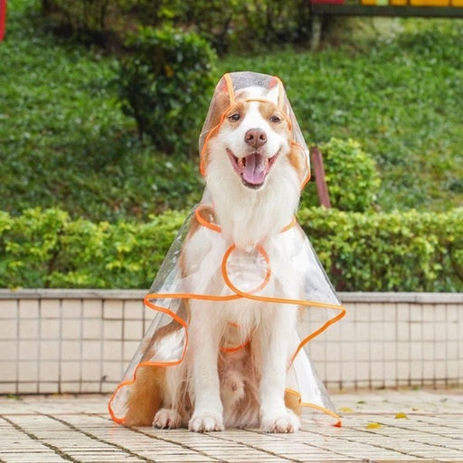 Дождевик для крупных пород собак "KOMFORT", прозрачный, р 3XL