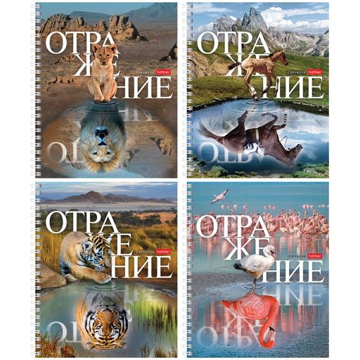 Тетрадь 48л. на спирали Hatber "Отражение" клетка (48Т5В1гр)