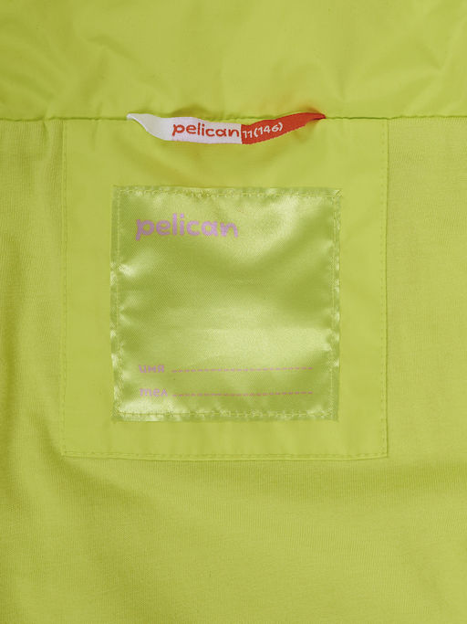 GZJN3352 Ветровка для девочек - Pelican фото 4