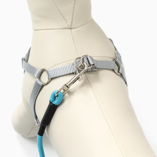 Комплект амуниции с мягкой дышащей шлейкой и круглым поводком 120 х 1 см, голубой - Пижон фото 4