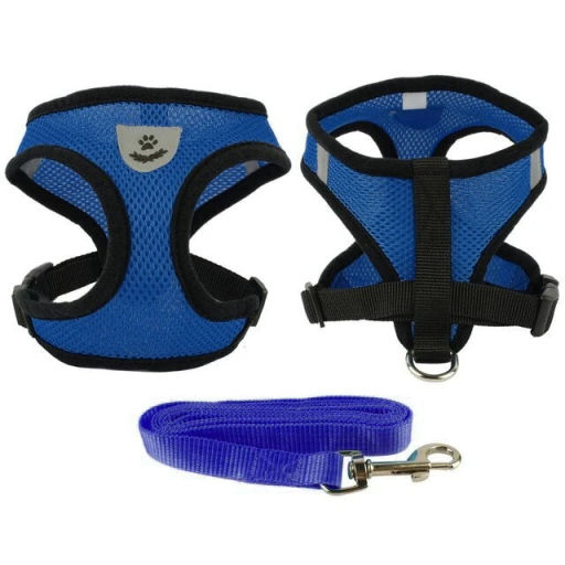 Цена за 2 шт. Шлейка с поводком 118см "Sweet puppy" размер S, цвет голубой