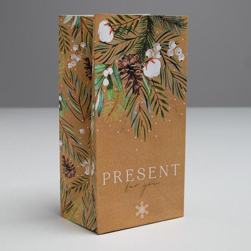 Цена за 10 шт. Пакет подарочный без ручек новогодний Present for you, 10×19×7 см