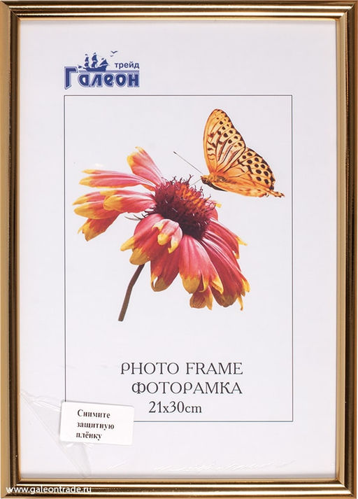 Фоторамка 21х30 с акриловым стеклом / 1302A-004C /уп10 - Галеонтрейд фото 3