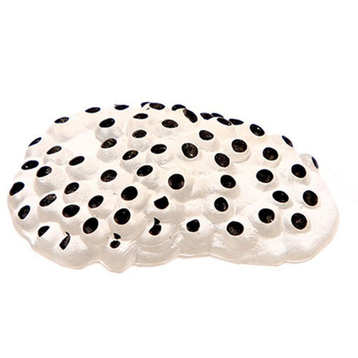 Обучающий набор Этапы развития лягушки 5 фигурок - Simaland фото 2