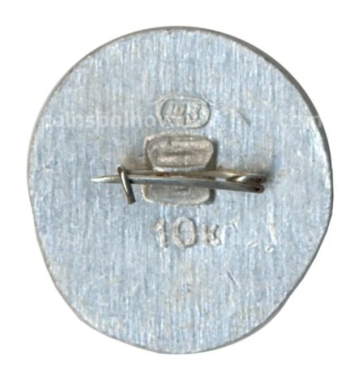 Значок Владимир