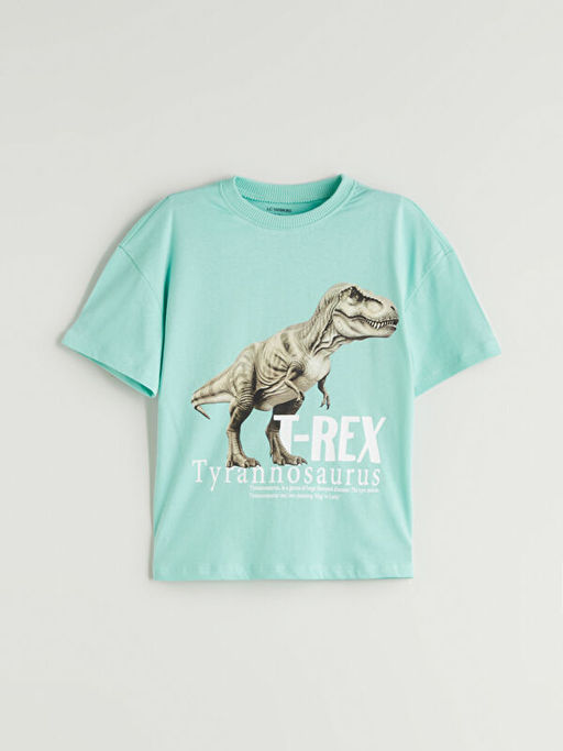 Dinozor Bask?l? Erkek ?ocuk Ti??rt ve ?ort 2li