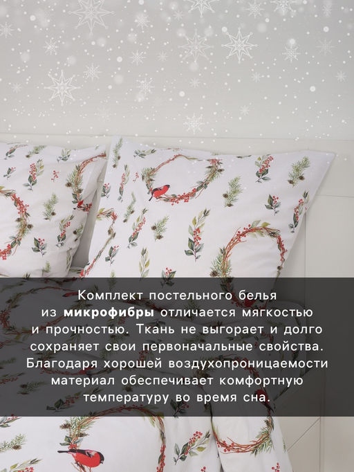 Постельное бельё 2-спальное Этель. Снегири (вид 2), поплин