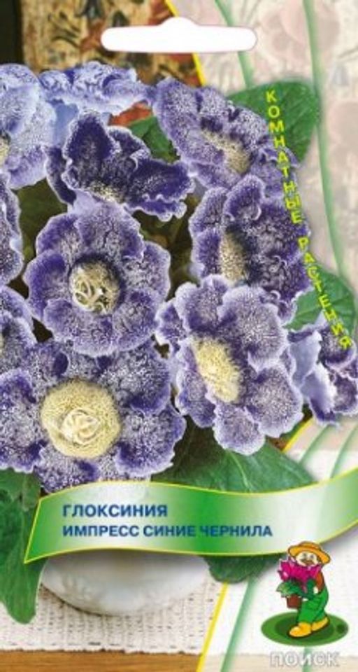 Глоксиния Импресс Синие чернила (ЦВ) ("К) 5шт.