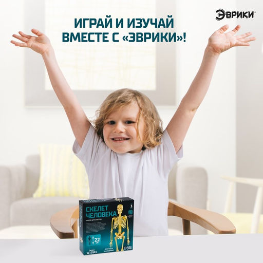 Набор для опытов Скелет человека - Эврики фото 4