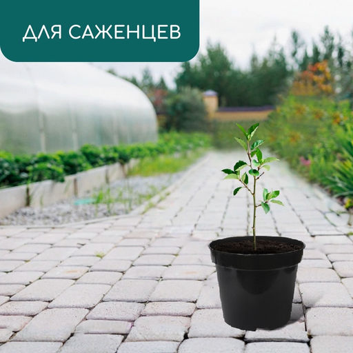 Цена за 7 шт. Горшок для рассады, 2 л, d = 17,5 см, h = 13 см, пластик, чёрный, Greengo фото 3