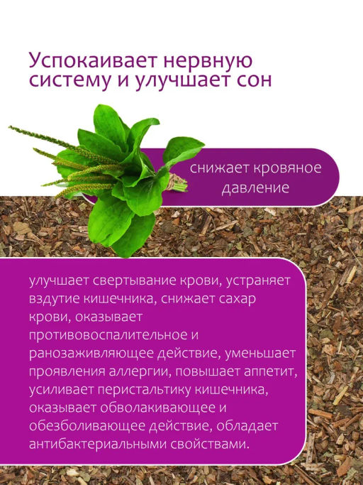 Подорожник - Травы горного крыма фото 3