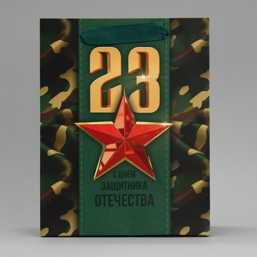 Цена за 2 шт. Пакет подарочный ламинированный, упаковка, «С 23 февраля», MS 18×23×10 см