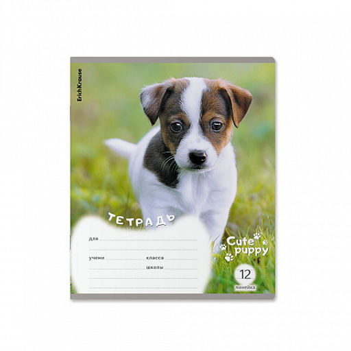 Цена за 10 шт. Тетрадь школьная ученическая ErichKrause Щенки, 12 листов, линейка (в плёнке по 10 шт.)_MIX-PACK  фото 6
