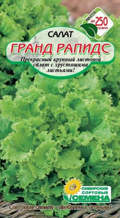 Гранд Рапидс салат 0,5гр (ссс) Р