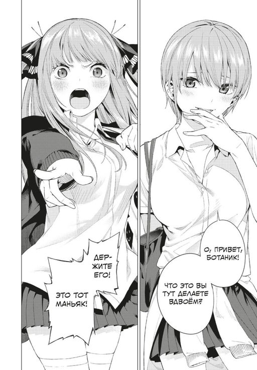 Пять невест. Книга 1