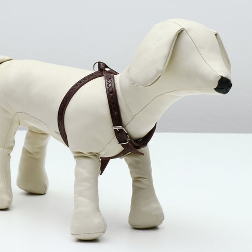 Шлейка кожаная для кошек и маленьких собак,ОШ19-30 см,ОГ 25-37 см,1.2 см, микс видов, цветов - Пижон фото 4