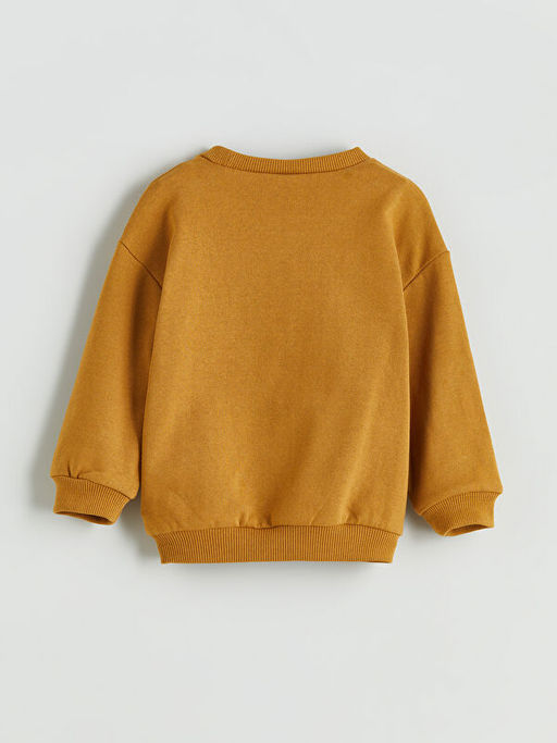 Dinozor Bask?l? Erkek ?ocuk Sweatshirt