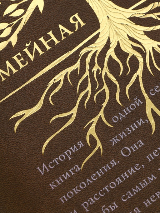 Родословная книга со встроенной флешкой 16 Gb «Семейная летопись», 17.5×23 см