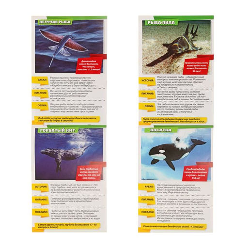 Мини-энциклопедии Мир животных, 8 шт. по 20 стр. - Буква-ленд фото 6