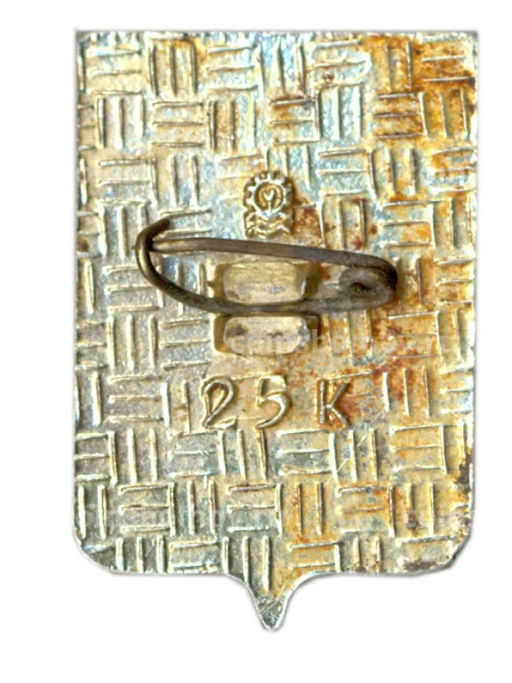 Значок Тихвин