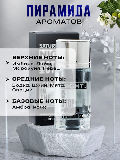 Туалетная вода мужская Saturday Night, 100 мл