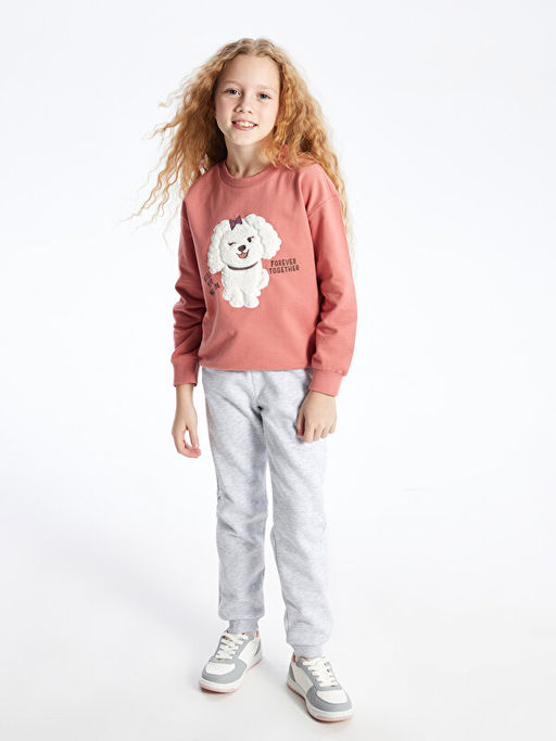 Bisiklet Yaka Nak??l? Uzun Kollu K?z ?ocuk Sweatshirt - Waikiki фото 2