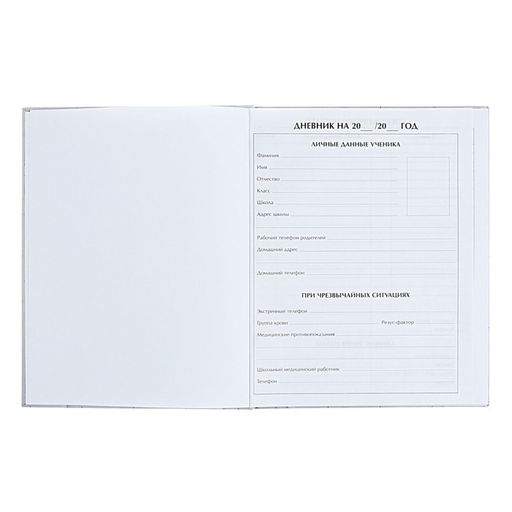 Дневник школьный для 1-11 классов «Аниме. Парень и небо», твёрдая обложка, глянцевая ламинация, 40 листов