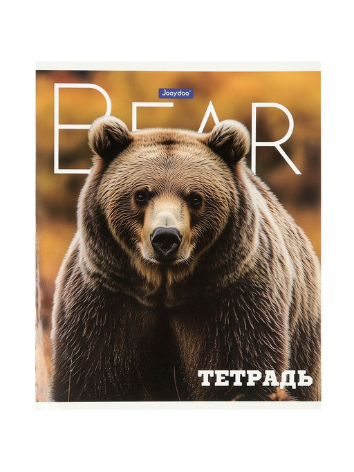 Комплект 12 тетрадей, 48 листов, клетка, 60гр, 4 вида, Животные