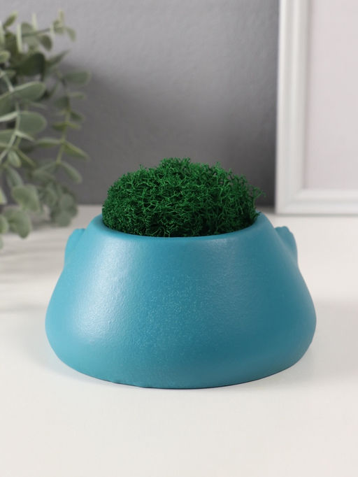 Стабилизированный мох в кашпо из бетона «Злобный смех», 15.5×12.5×6 см, голубой